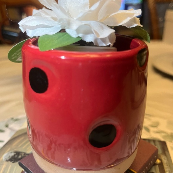 Ladybug Pot - Picture 3 of 11